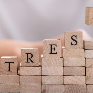 What are the main causes of work-related stress?